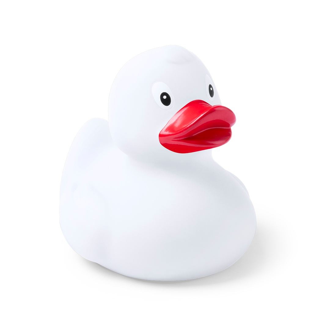 Canard - Koldy 4
