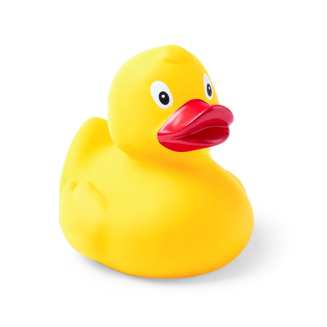 Canard - Koldy 2