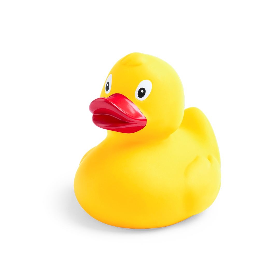 Canard - Koldy