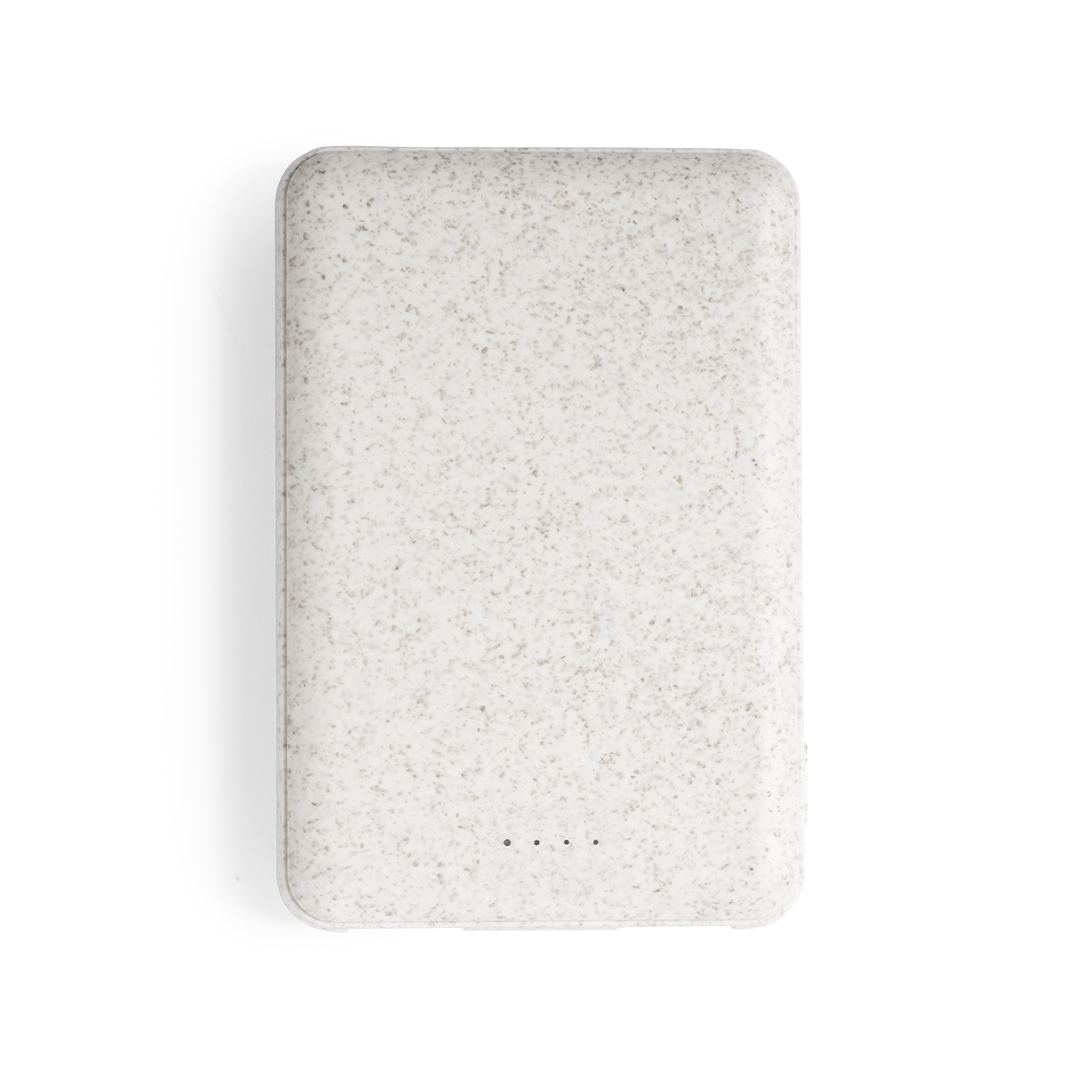Power Bank - Shiden 2