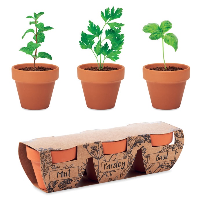 FLOWERPOT - 3 pots en terre