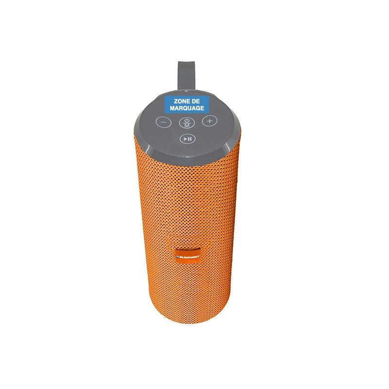 Enceinte Bluetooth 10W - BLAUPUNKT 6