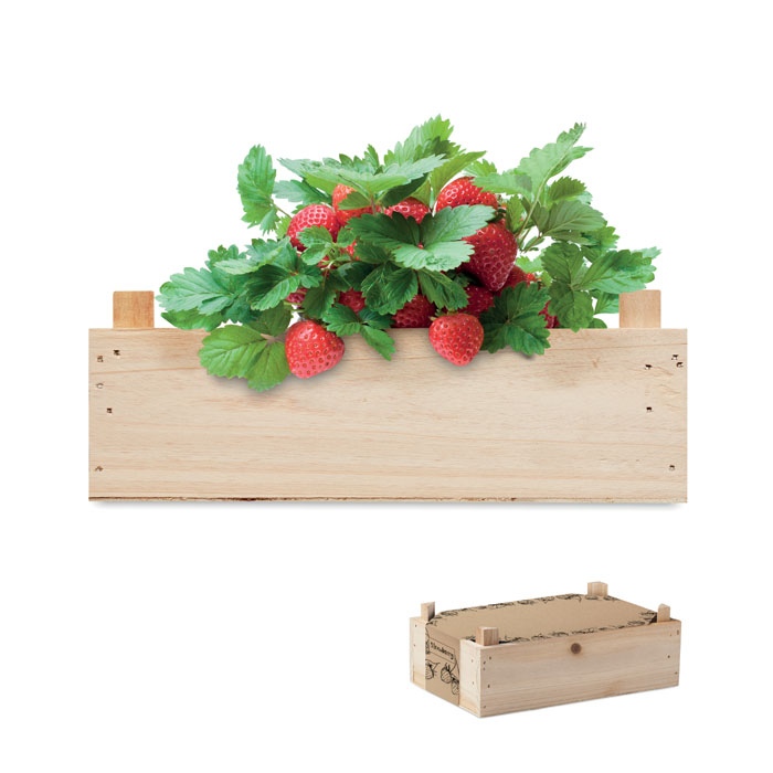 Graines de fraises dans une cai - STRAWBERRY