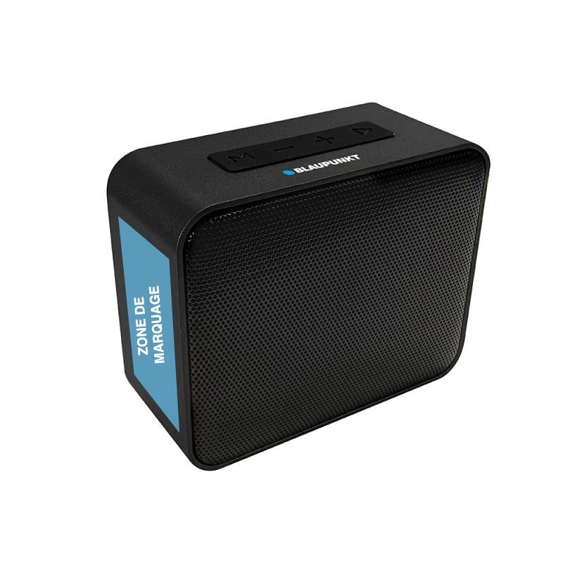 Enceinte Métal aluminium 5W - BLAUPUNKT 10