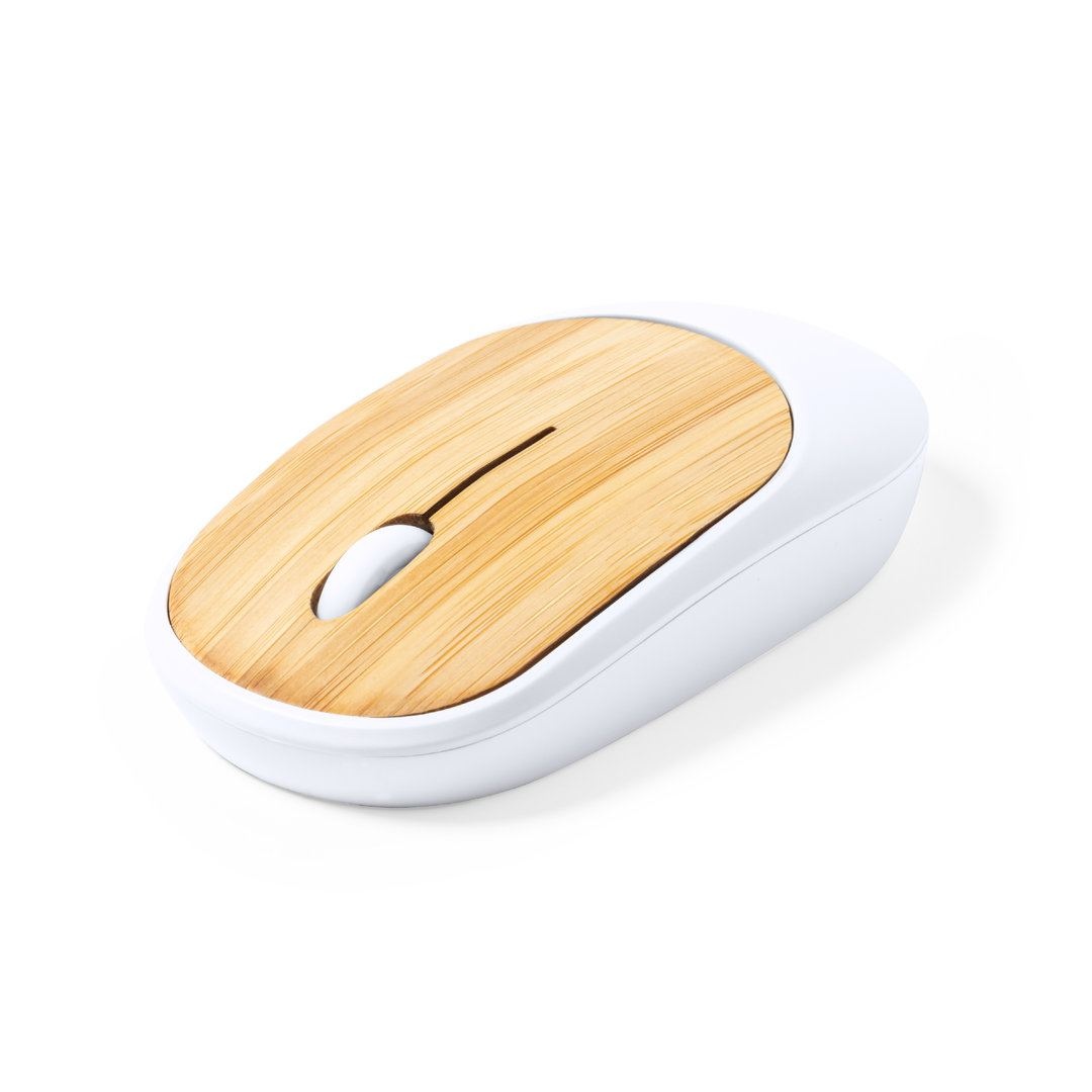 Souris - Diguan 2