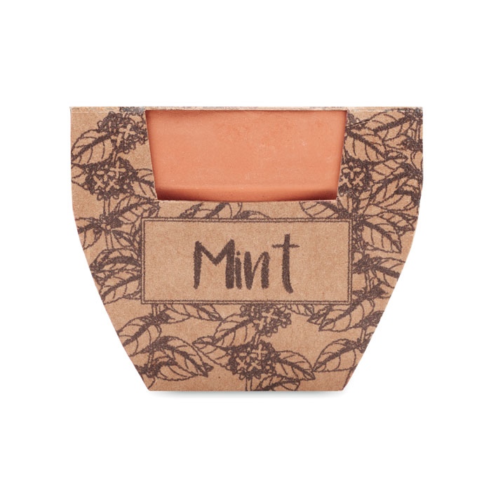 Pot avec graines de menthe - MINT POT 3