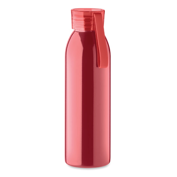 Bouteille en acier inox 650ml - BIRA 4