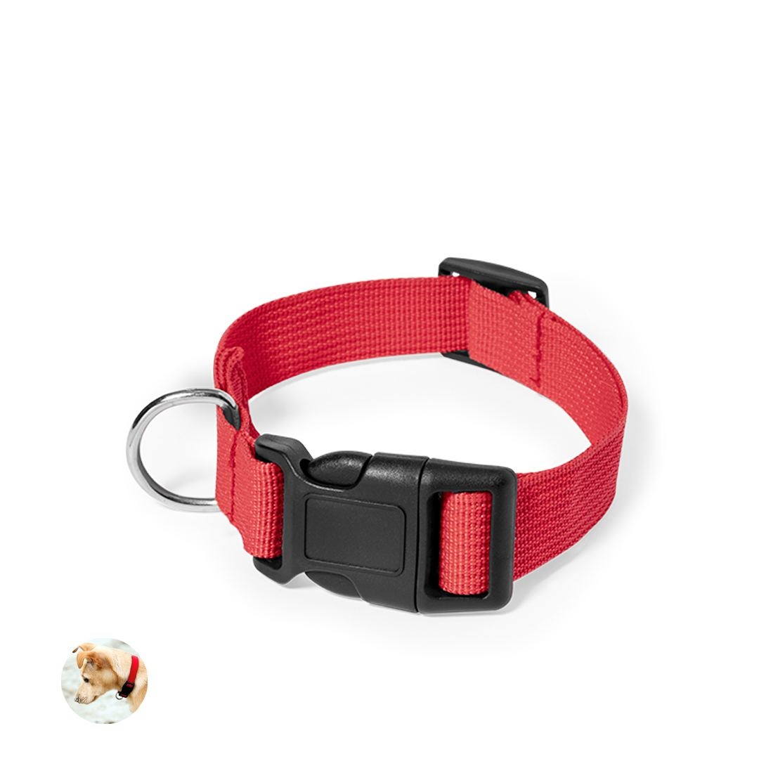 Collier - Mastif