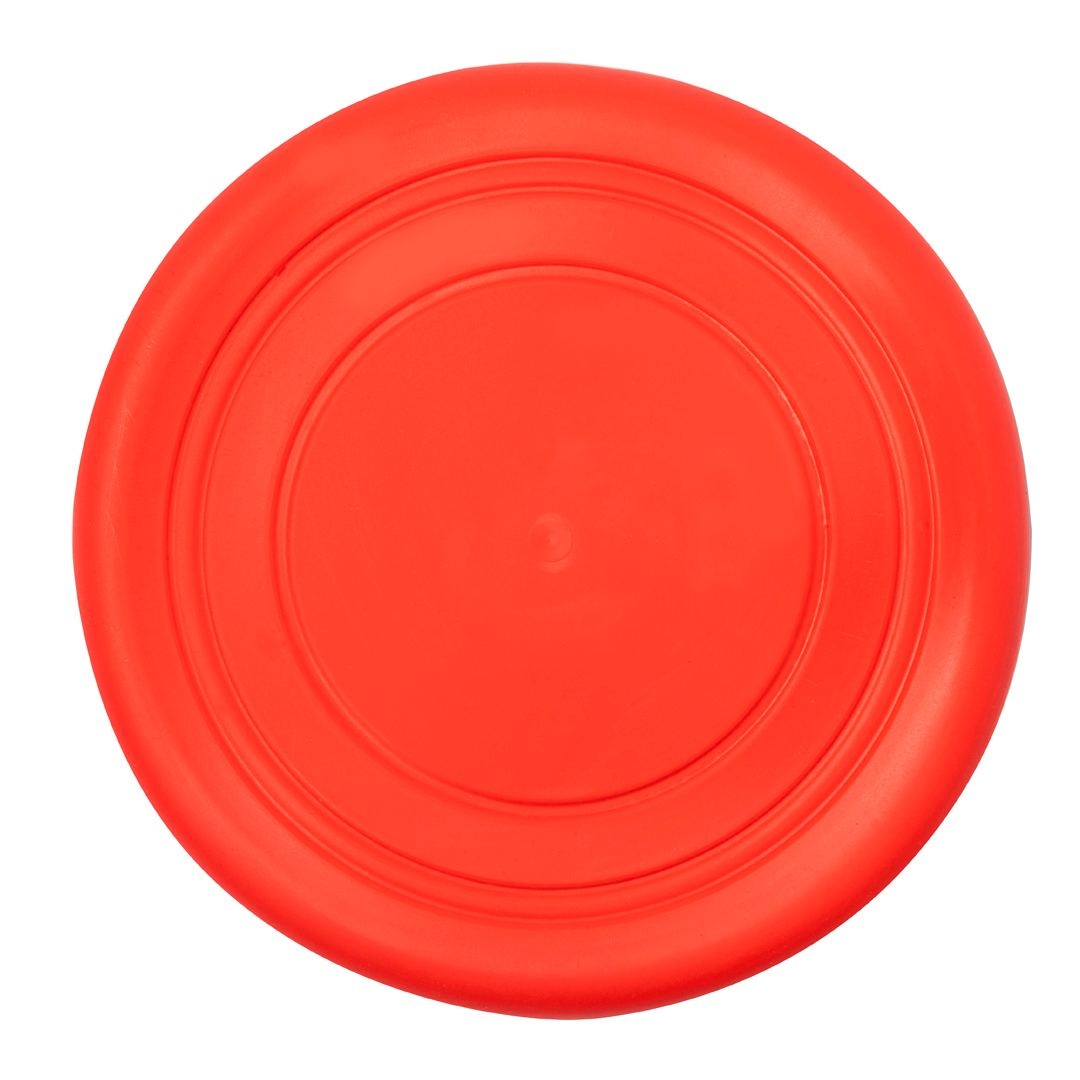 Frisbee - Girud 4