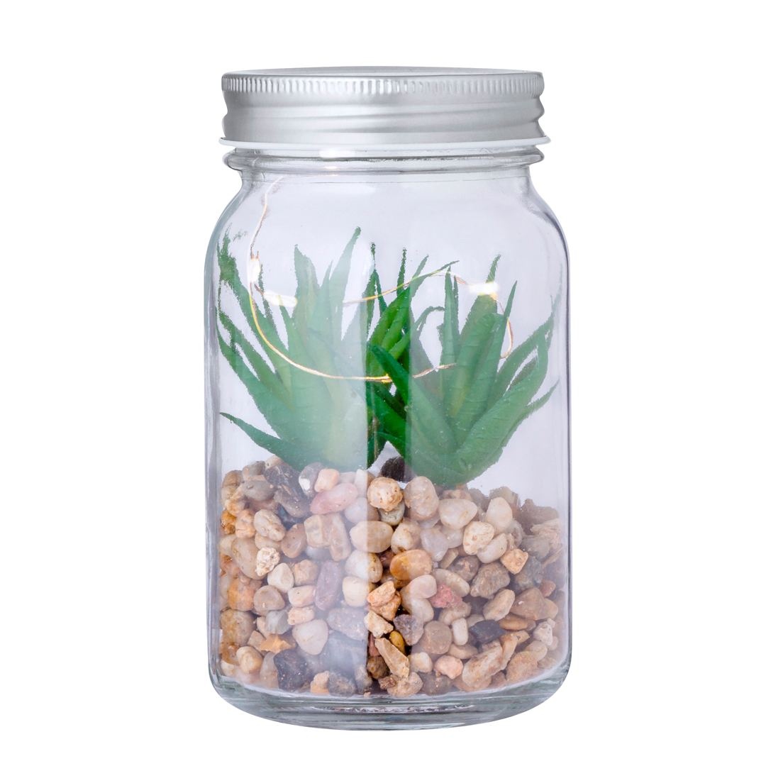 Plante Décorative - Kyala 2