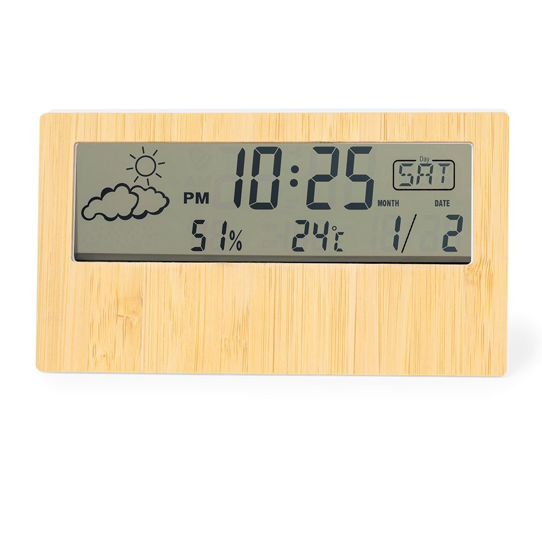 Station Météo - Roamer 2