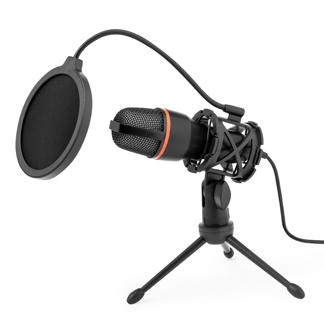 Microphone à Condensateur - Densha 2