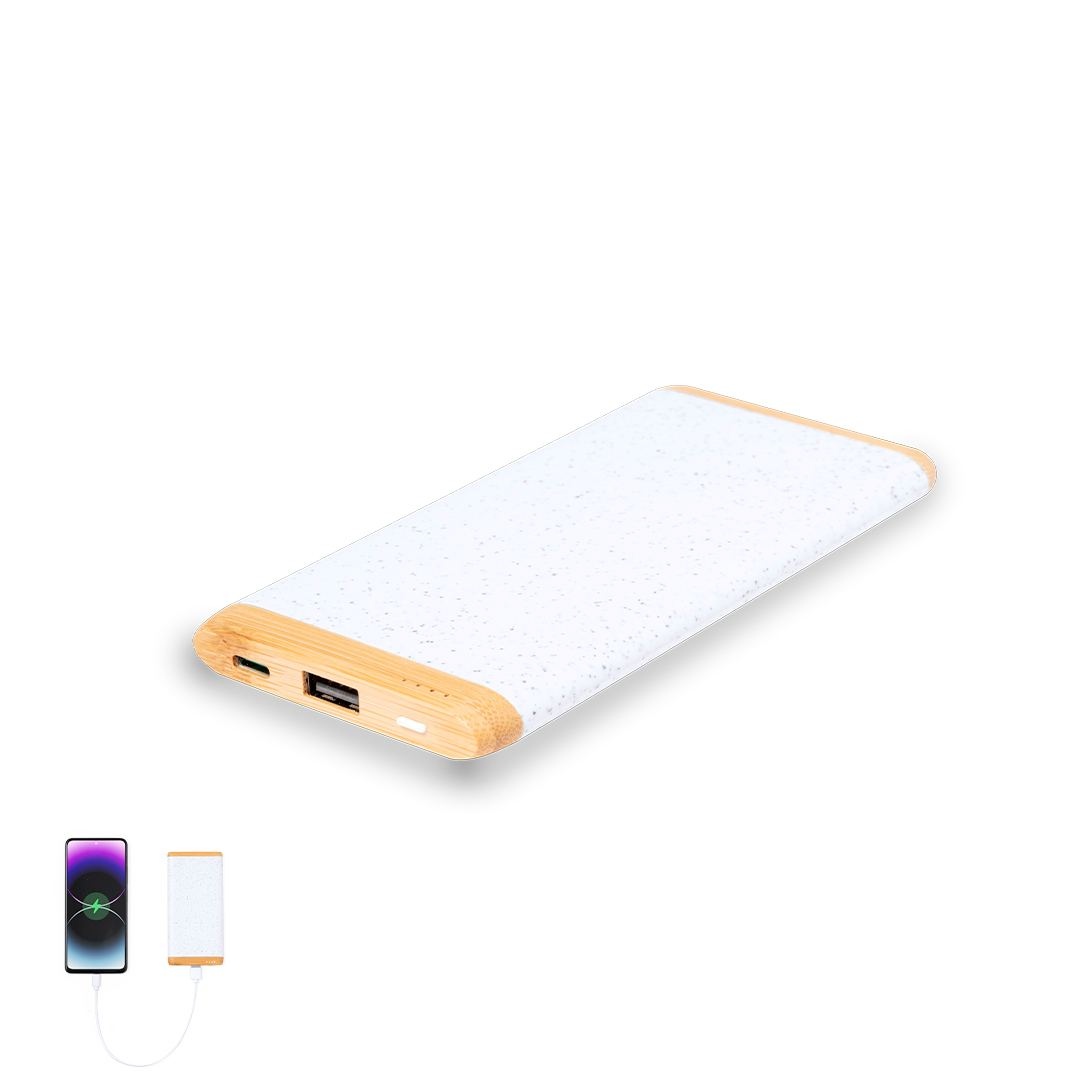 Power Bank - Coquin