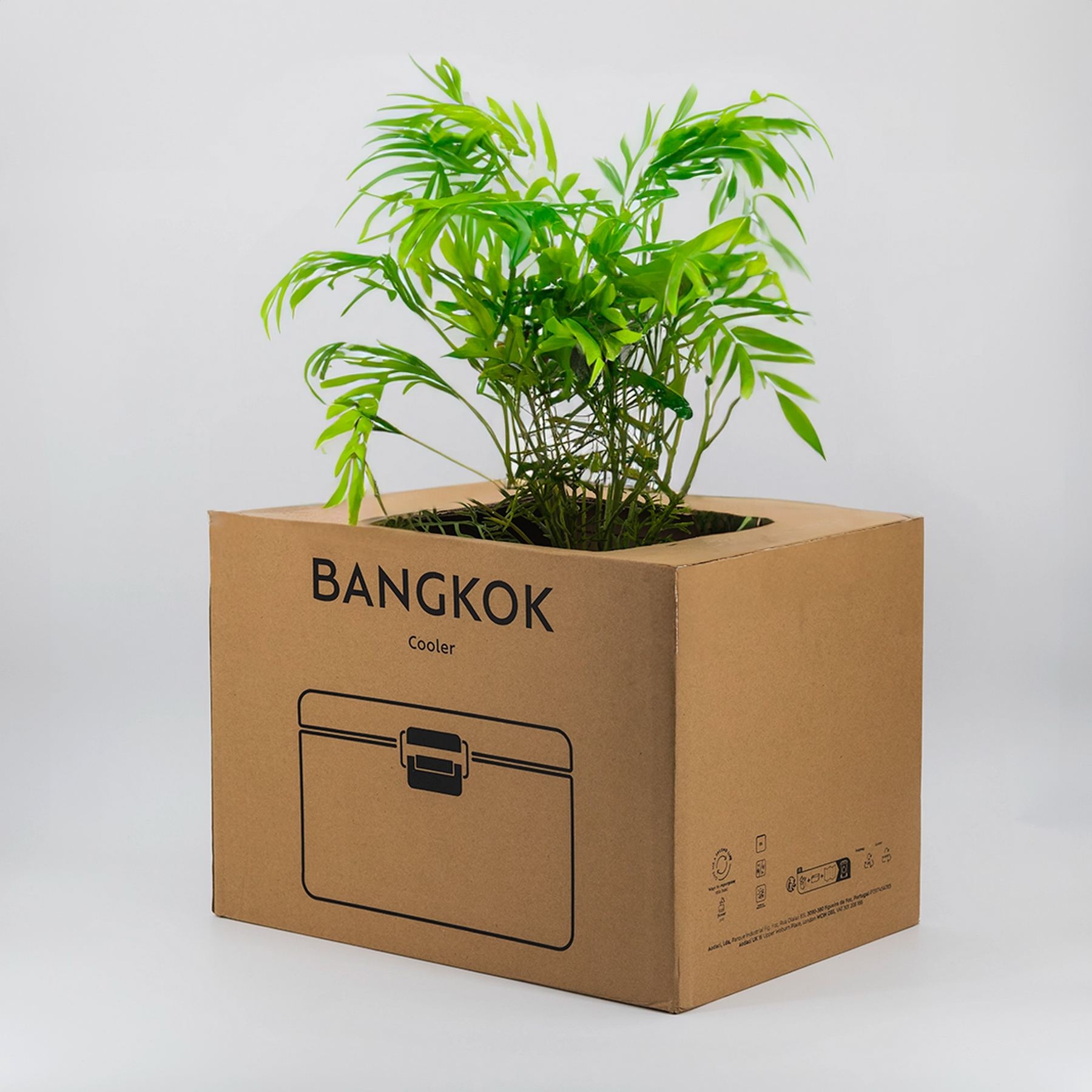 Glacière Bangkok 12L ABS recyclé