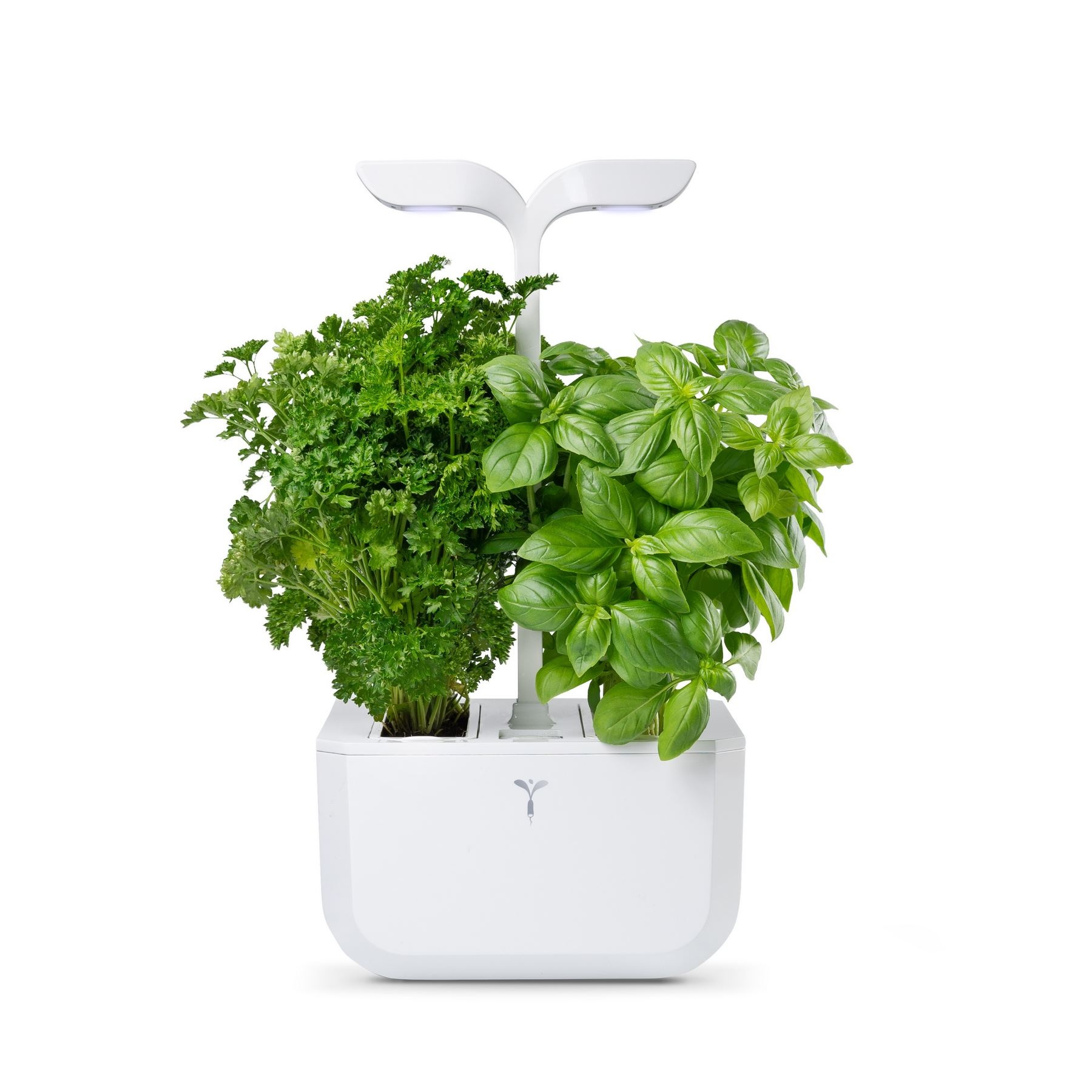 Potager Exky® CLASSIC 2