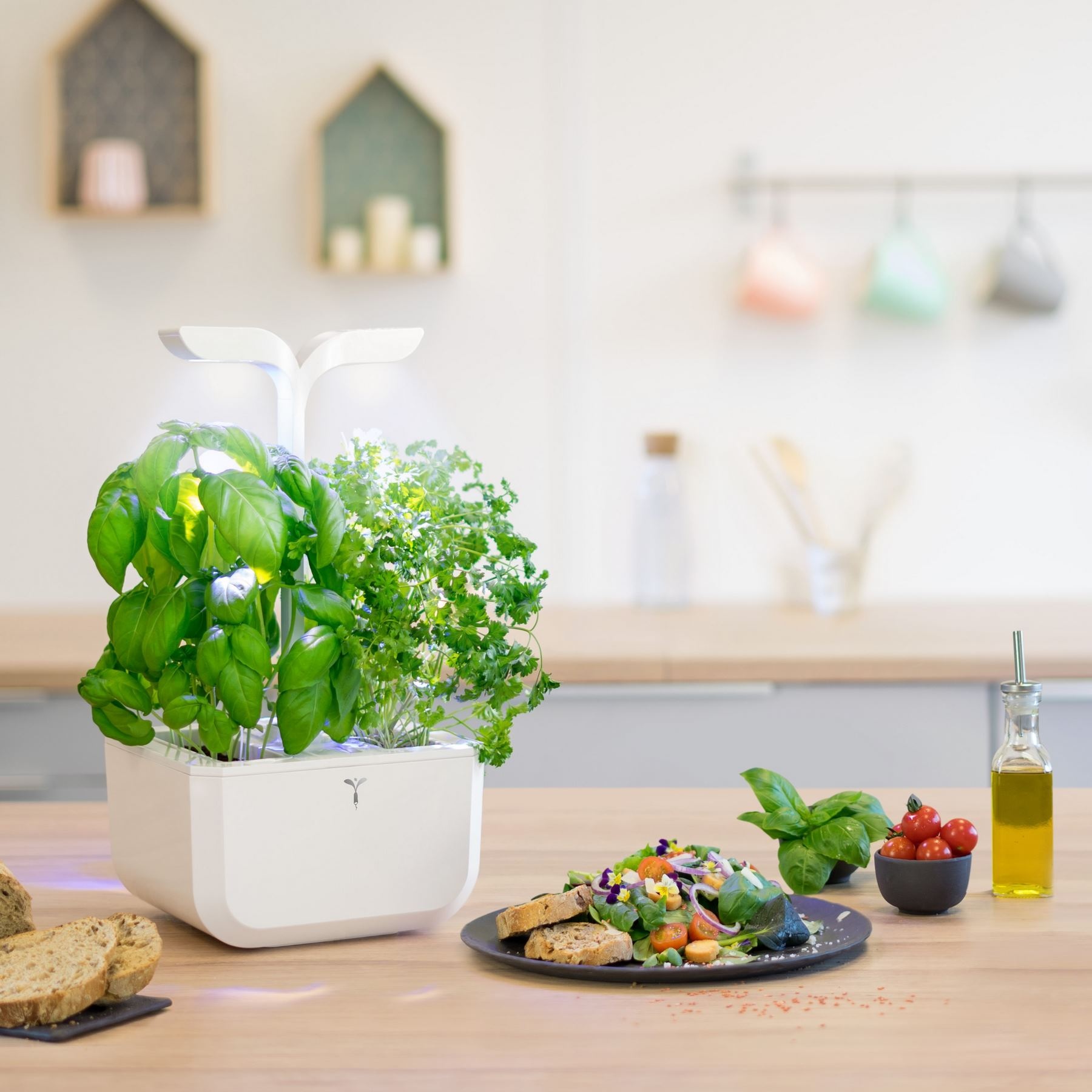 Potager Exky® CLASSIC 3