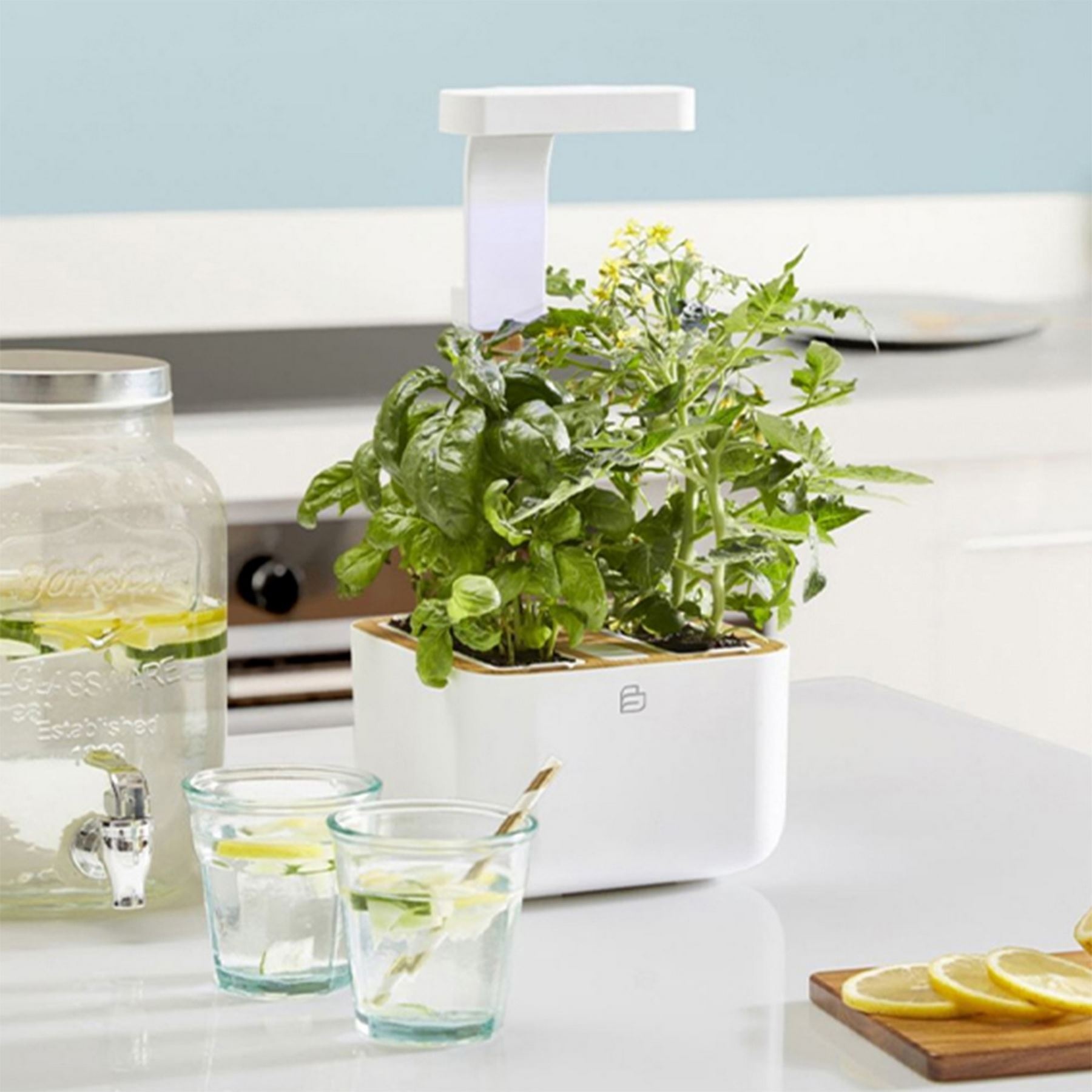 Botaneo Indoor Garden - VERITABLE 2