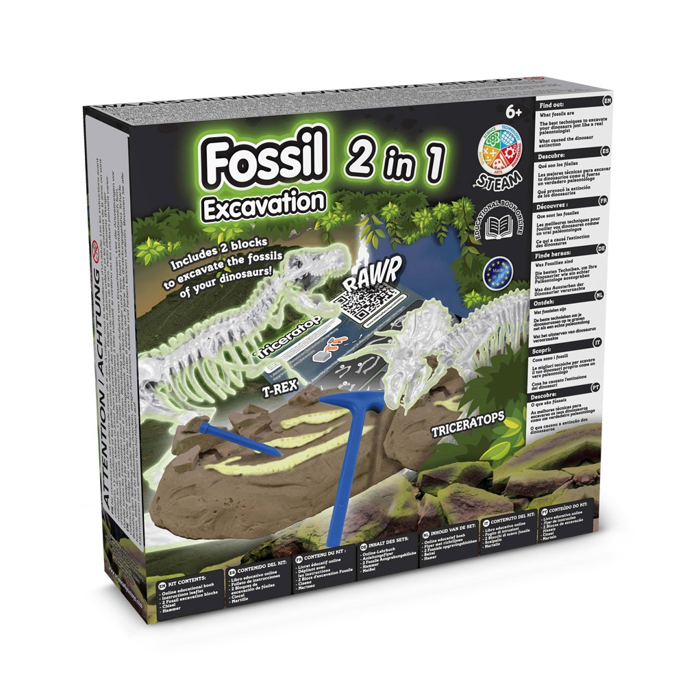 2 in 1 Fossil Excavation Kit I. Jeu éducatif pour enfants 3