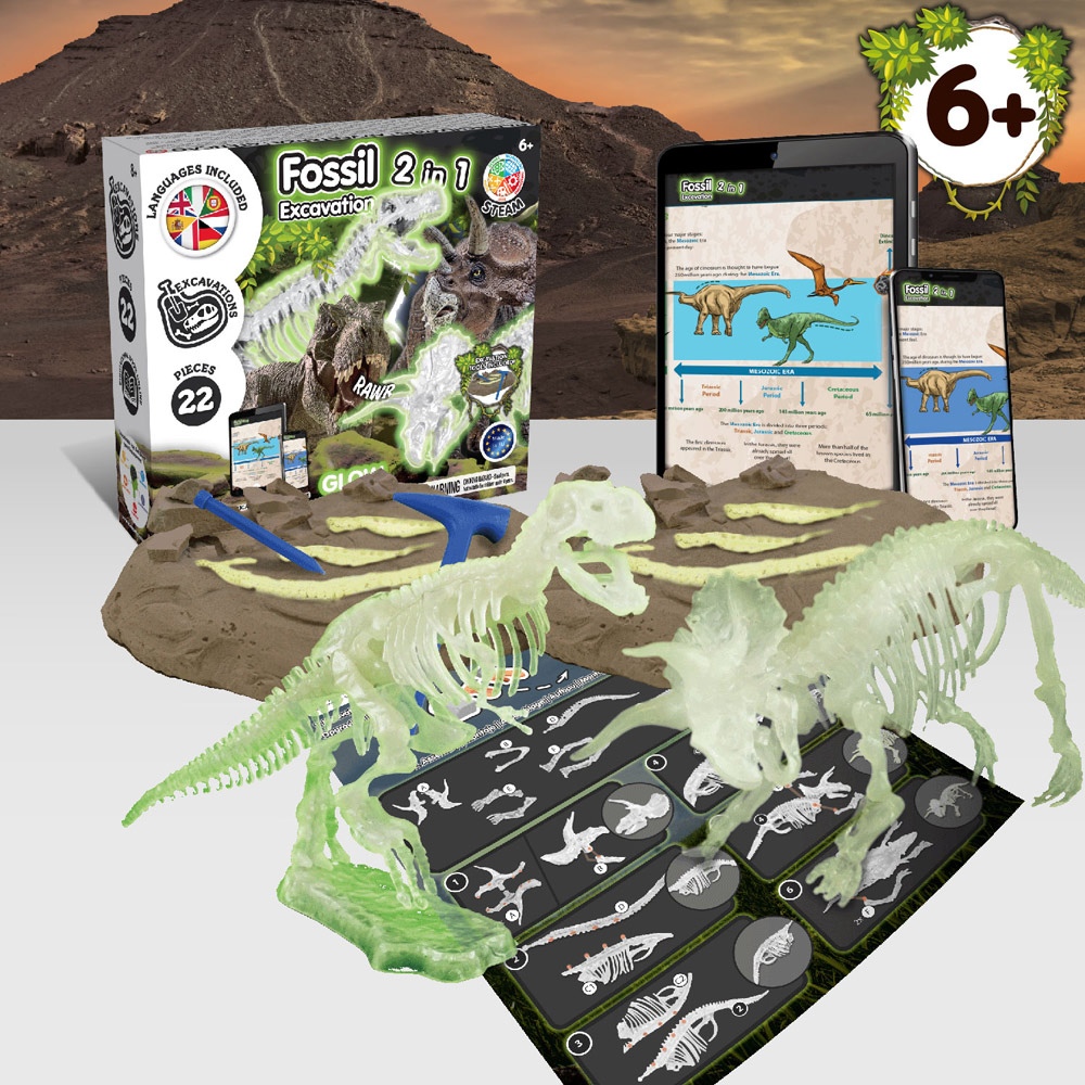 2 in 1 Fossil Excavation Kit I. Jeu éducatif pour enfants 4