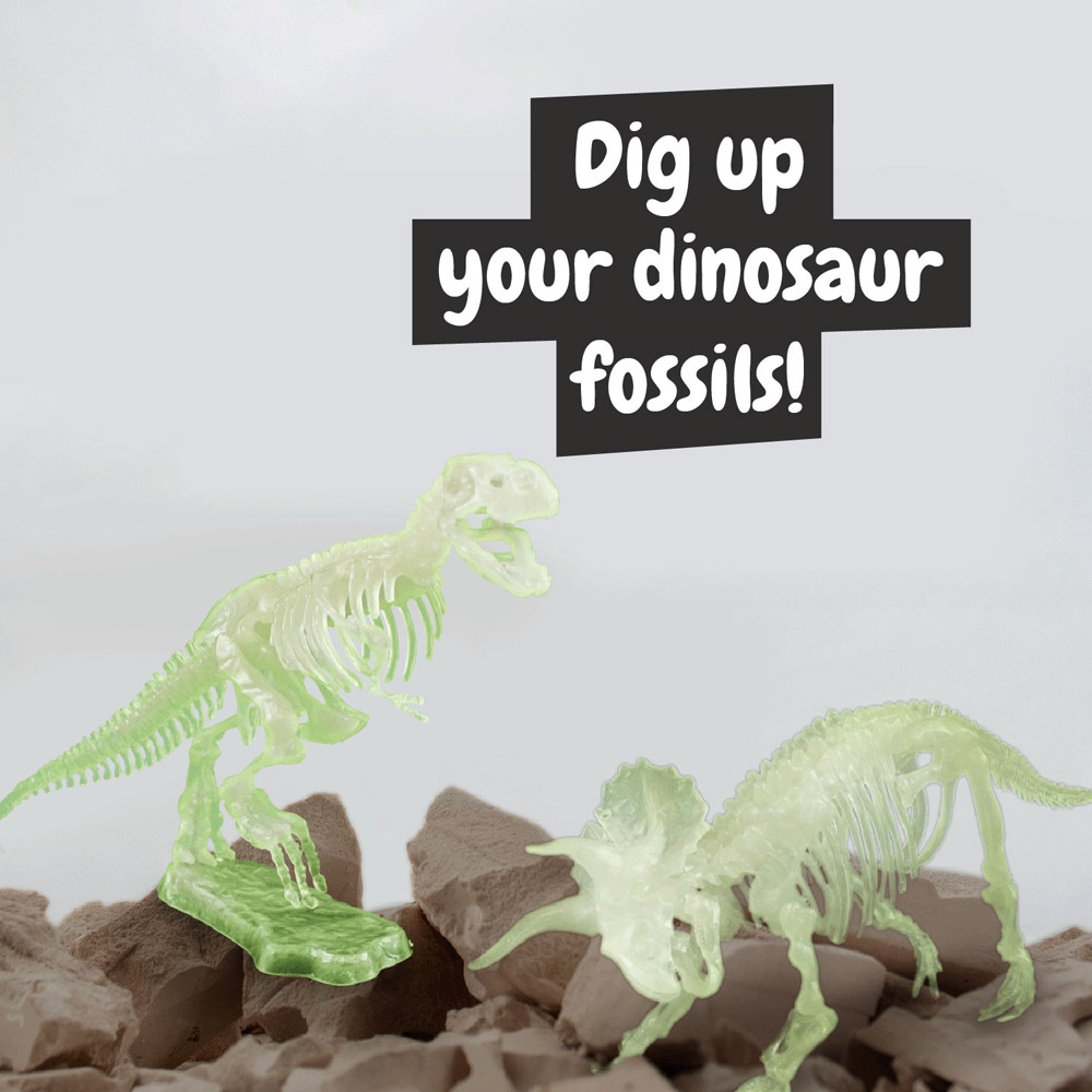 2 in 1 Fossil Excavation Kit I. Jeu éducatif pour enfants 5
