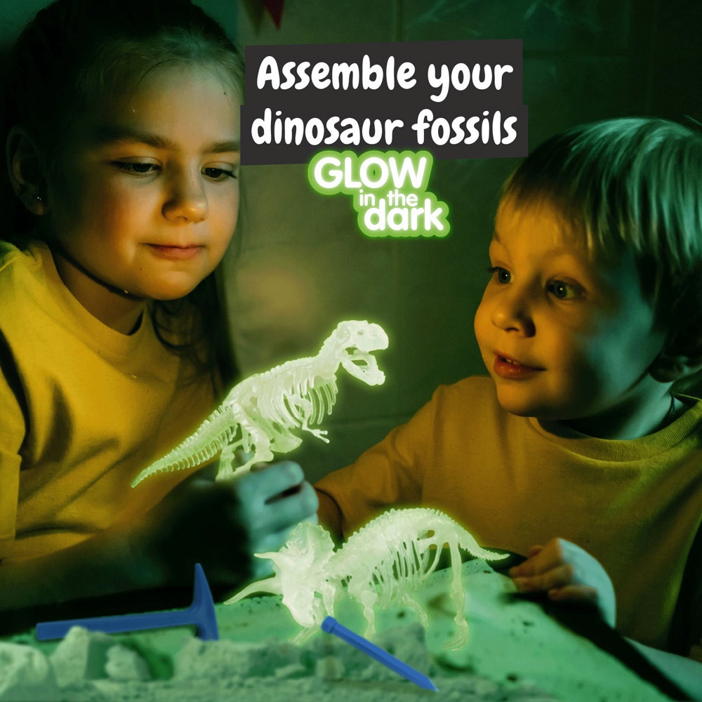 2 in 1 Fossil Excavation Kit I. Jeu éducatif pour enfants 6