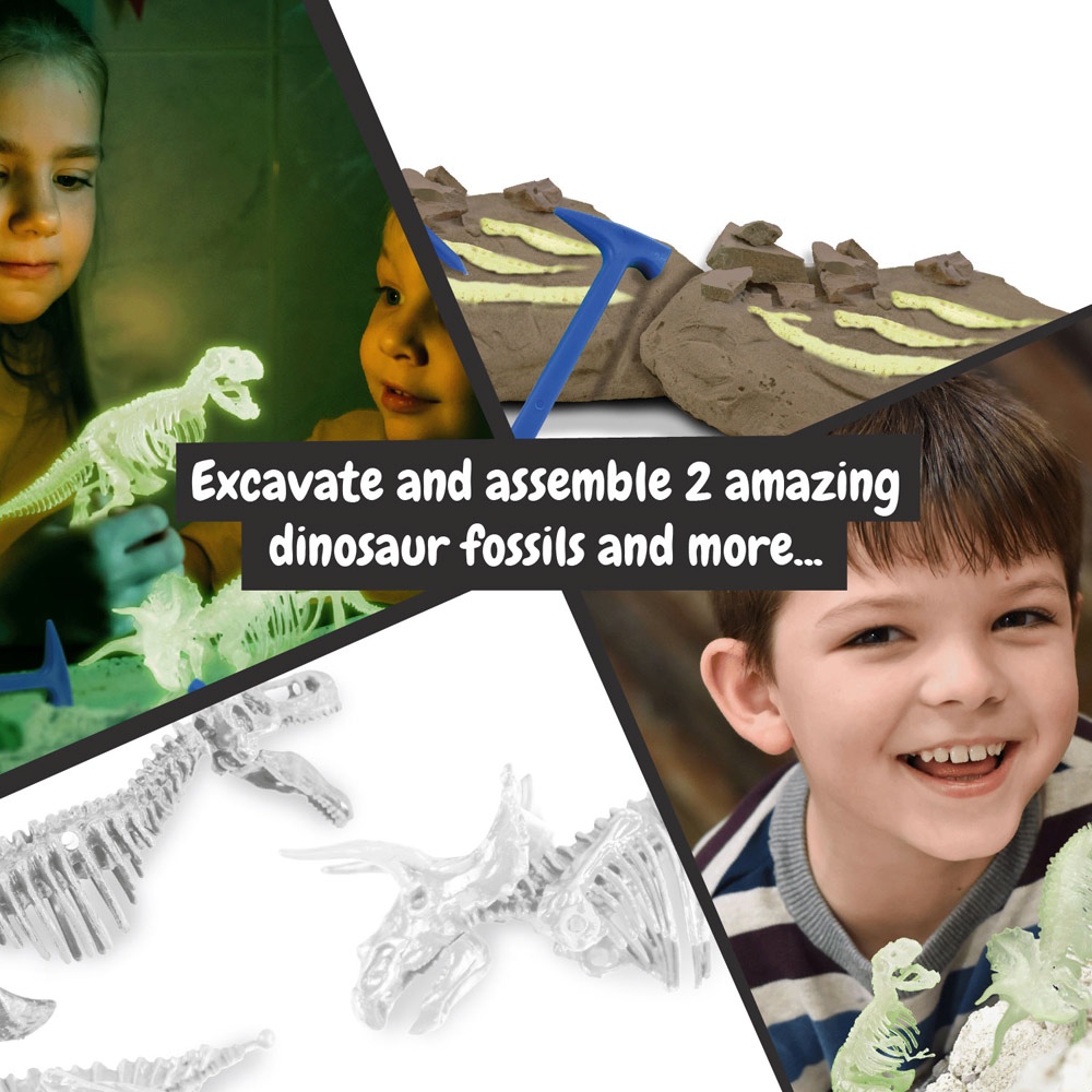 2 in 1 Fossil Excavation Kit I. Jeu éducatif pour enfants 8