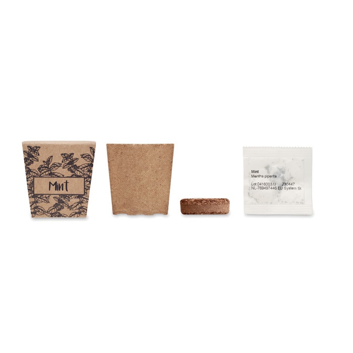 Kit de graines de menthe - MINT KIT 3