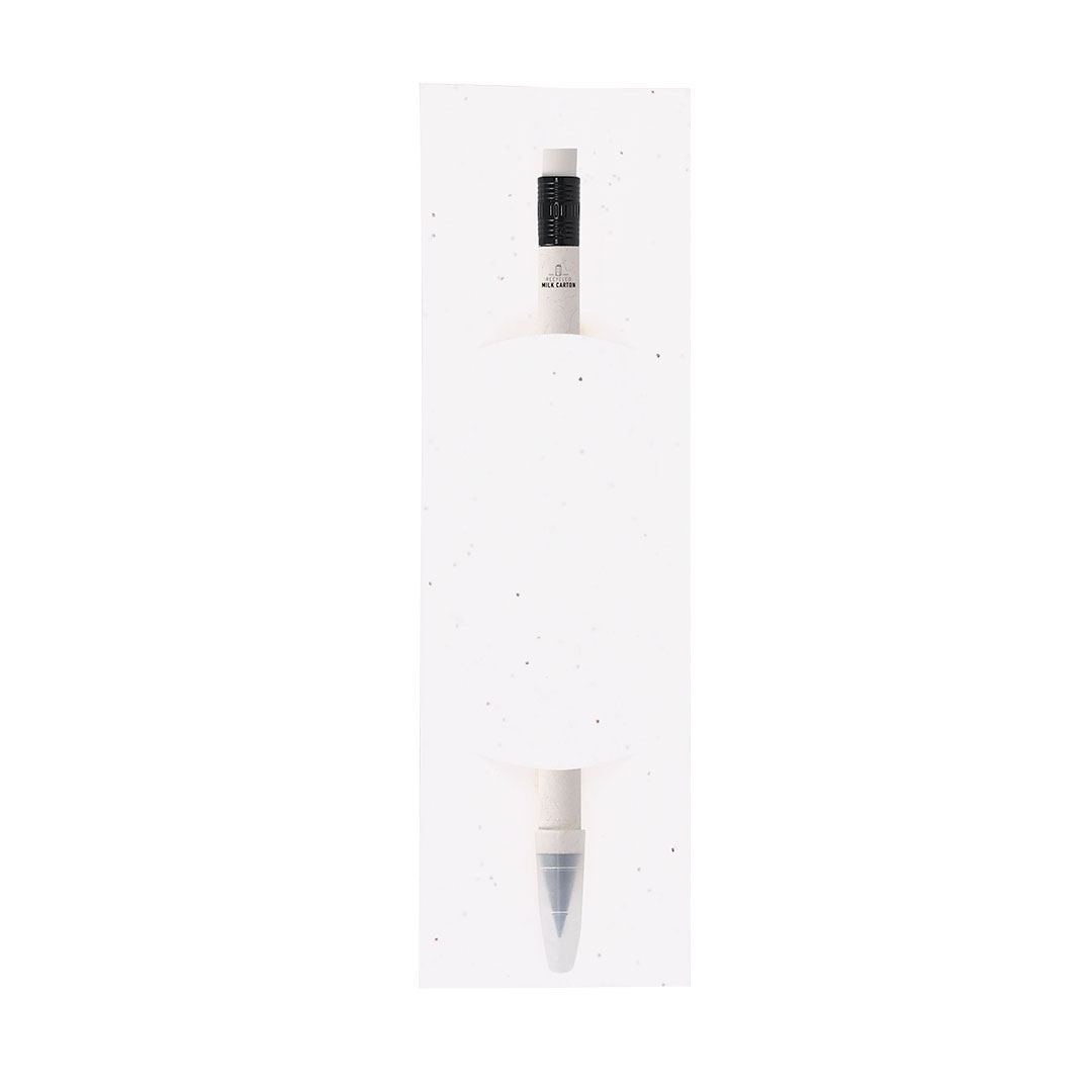 Crayon Éternel - Stauton 2