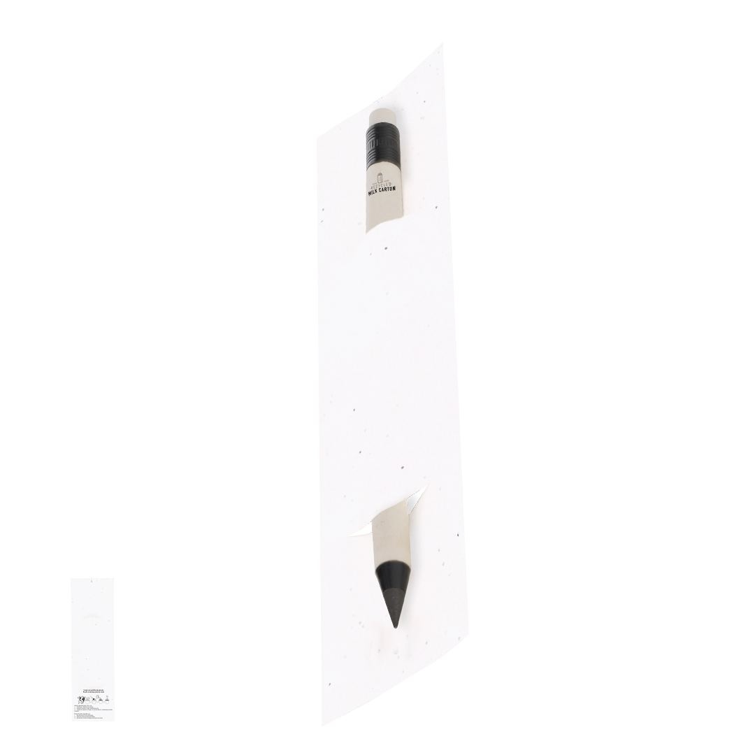 Crayon Éternel - Stauton