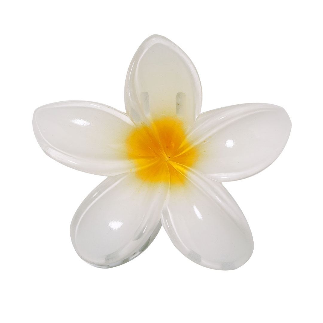 Pince à cheveux - Tixcon