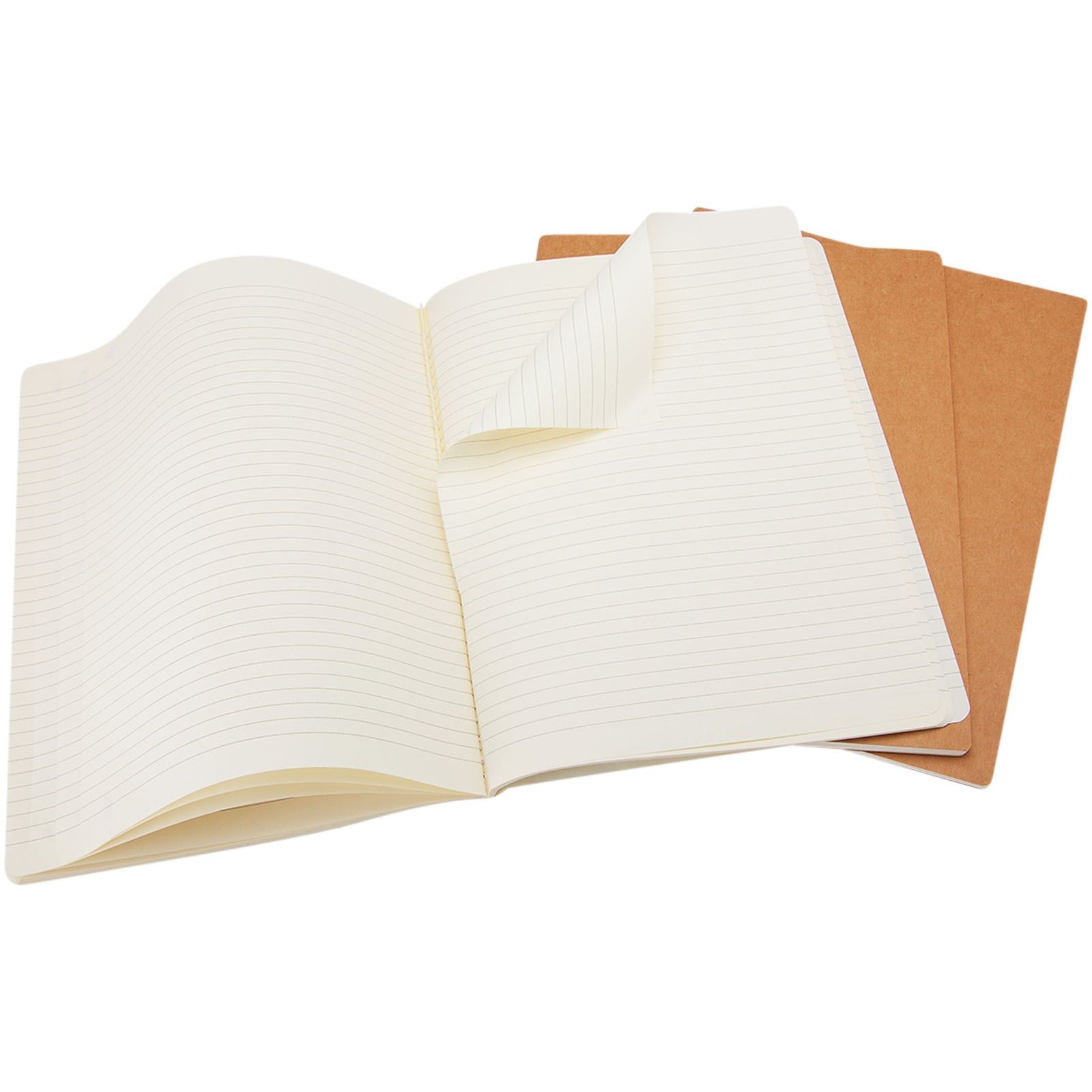 Journal Cahier L - ligné 13