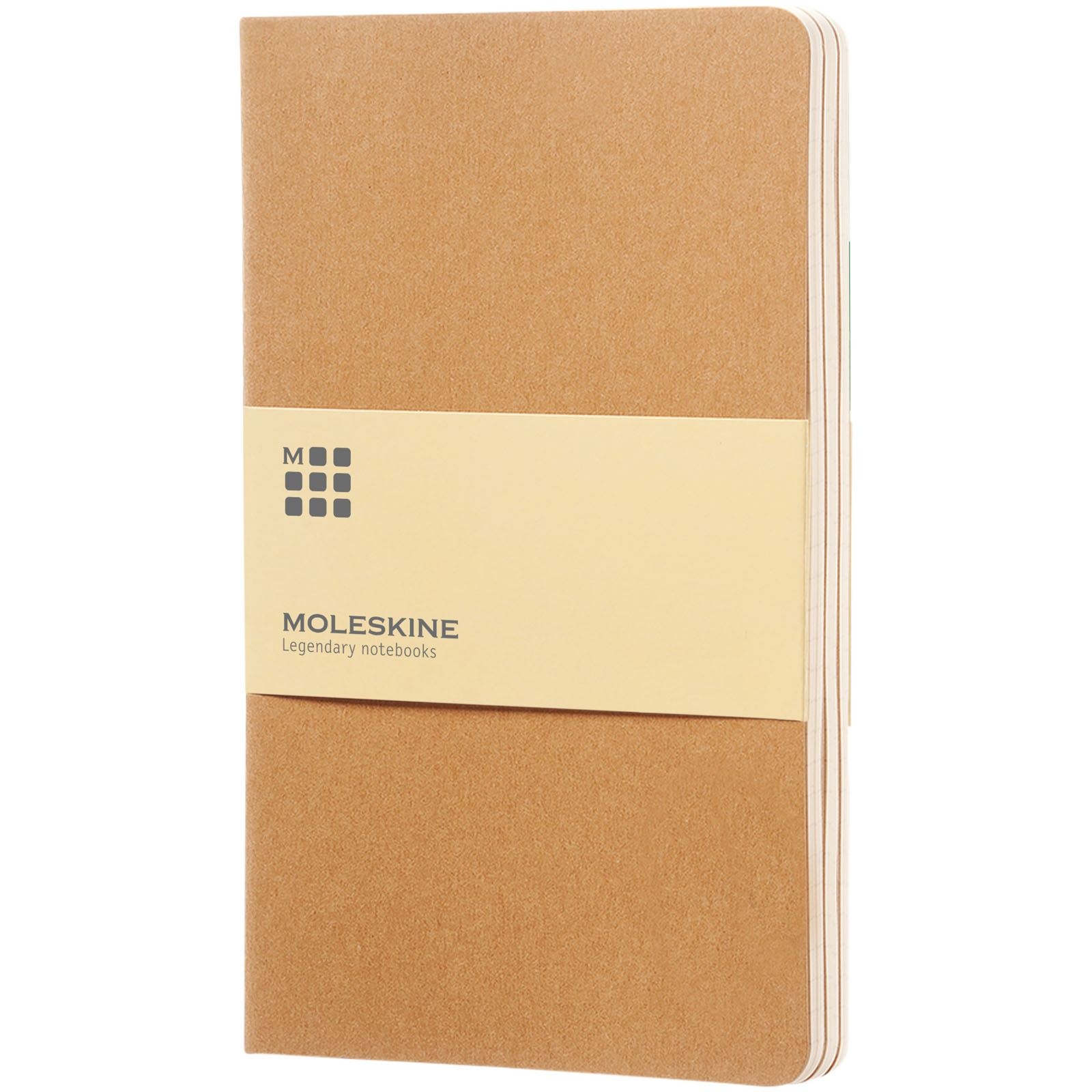 Journal Cahier L - ligné 3