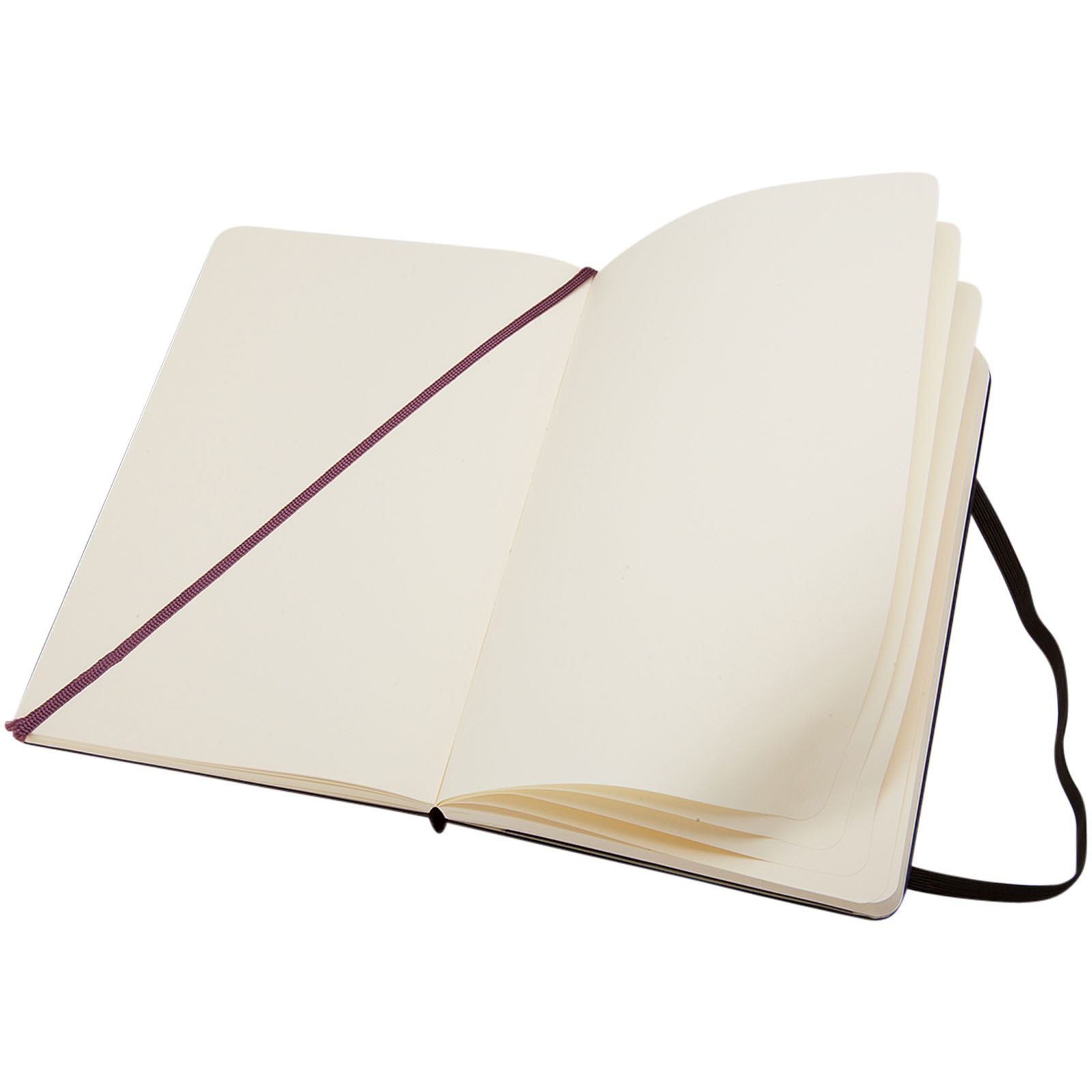 Carnet Classic L à couverture rigide - ordinaire 12