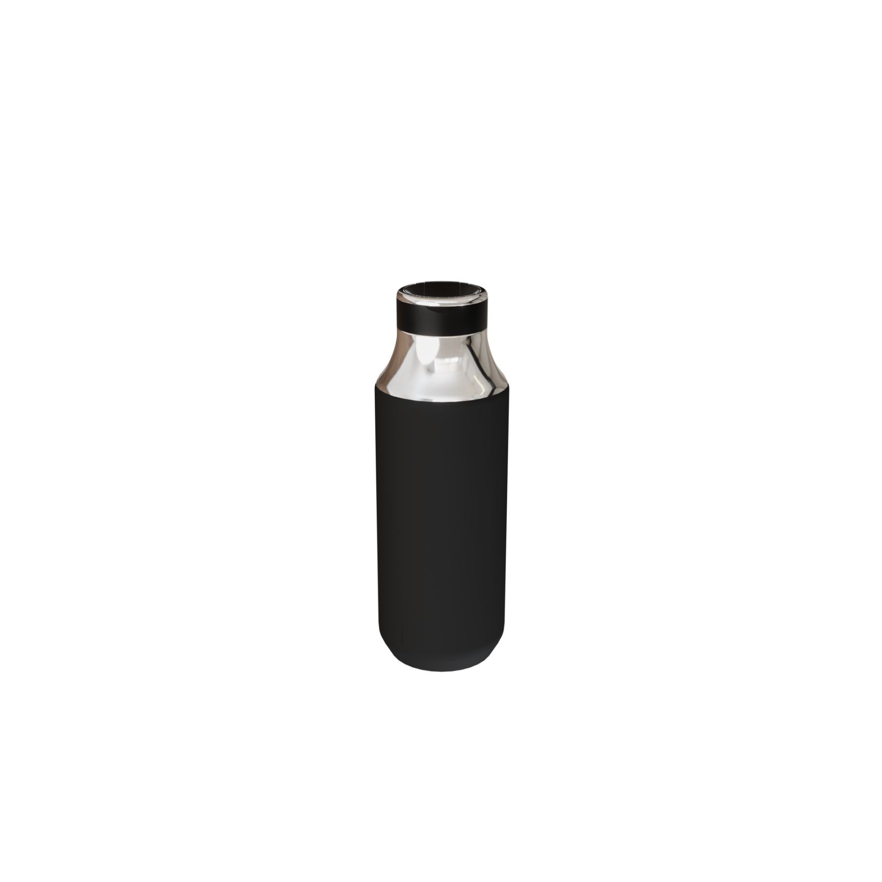 Mirror Ring Bottle (Import) 6