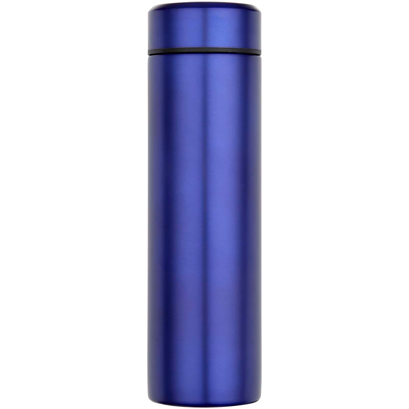 Gourde Taylor en acier inoxydable à double paroi de 450 ml avec filtre à thé 8