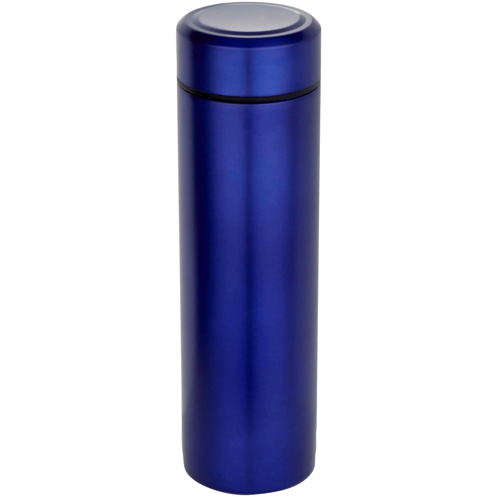Gourde Taylor en acier inoxydable à double paroi de 450 ml avec filtre à thé 3
