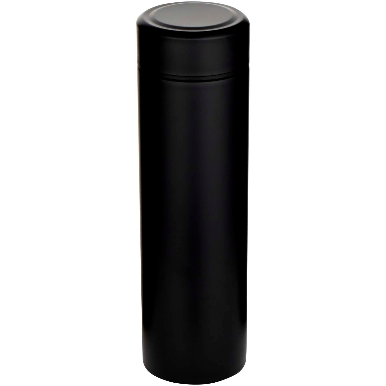 Gourde Taylor en acier inoxydable à double paroi de 450 ml avec filtre à thé 2