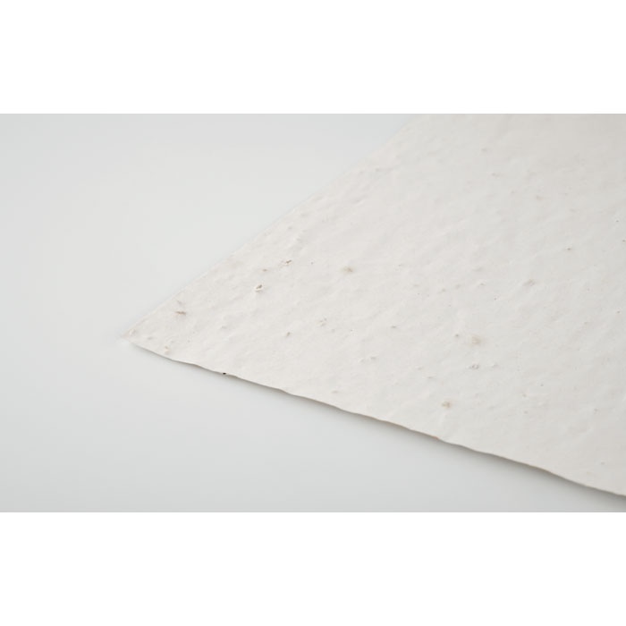 Papier A4 graines de fleurs - ASIDI 4