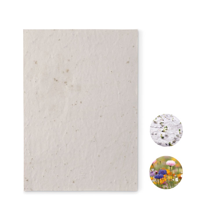 Papier A5 graines de fleurs - ASIDE 2