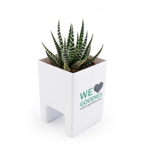 Mini plante dpolluante avec pot pour ordinateur