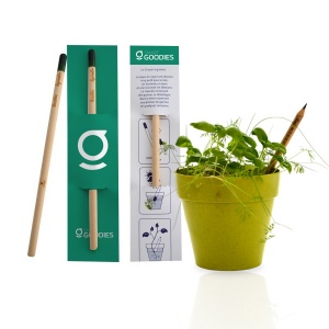 Crayon  graines avec mine en graphite