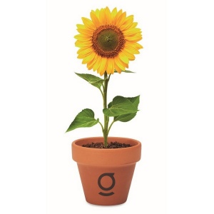 Pot  graines de tournesol