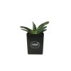 Mini plante dpolluante avec pot pour ordinateur