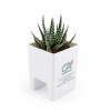 Mini plante dpolluante avec pot pour ordinateur