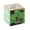 MENTA - Pot en bois avec graine Menthe
