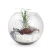 Terrarium en Kit - Grand modèle (dès 25ex sur devis)