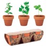 FLOWERPOT - 3 pots en terre
