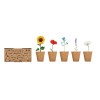 FLOWERS - Kit de culture de fleurs