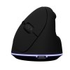 souris ergonomique sans fil (Import)