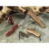Victorinox Classic SD Wood canif